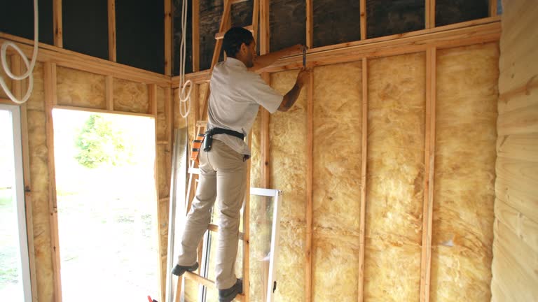 Best Insulation Air Sealing  in Milan, NM